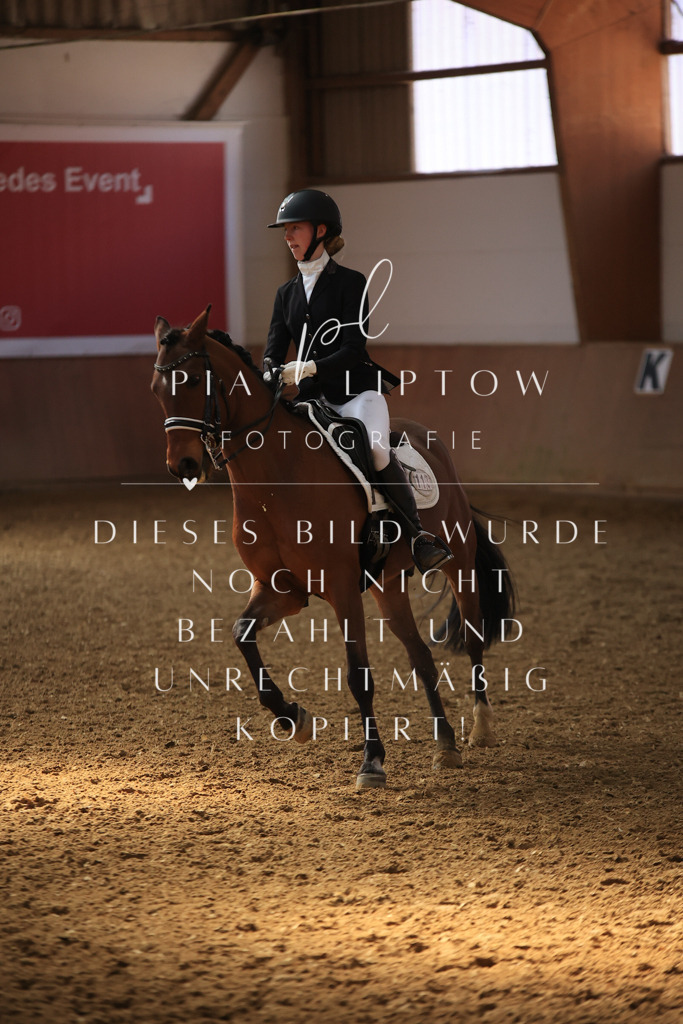 IMGT3353 | pl-fotografie