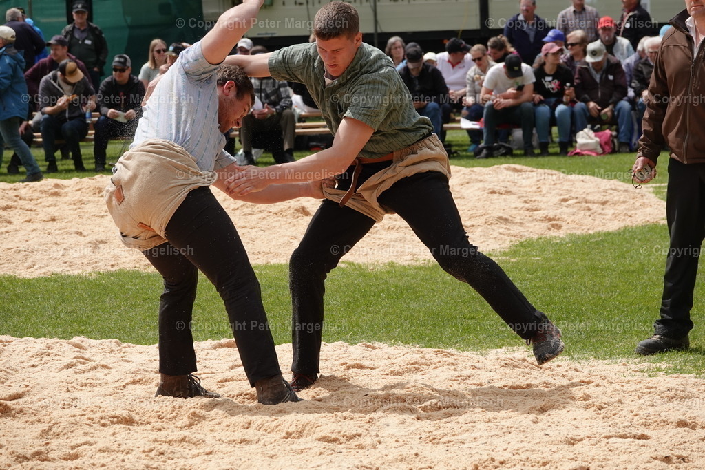 DSC03133 | Schwingen - Realisiert mit Pictrs.com