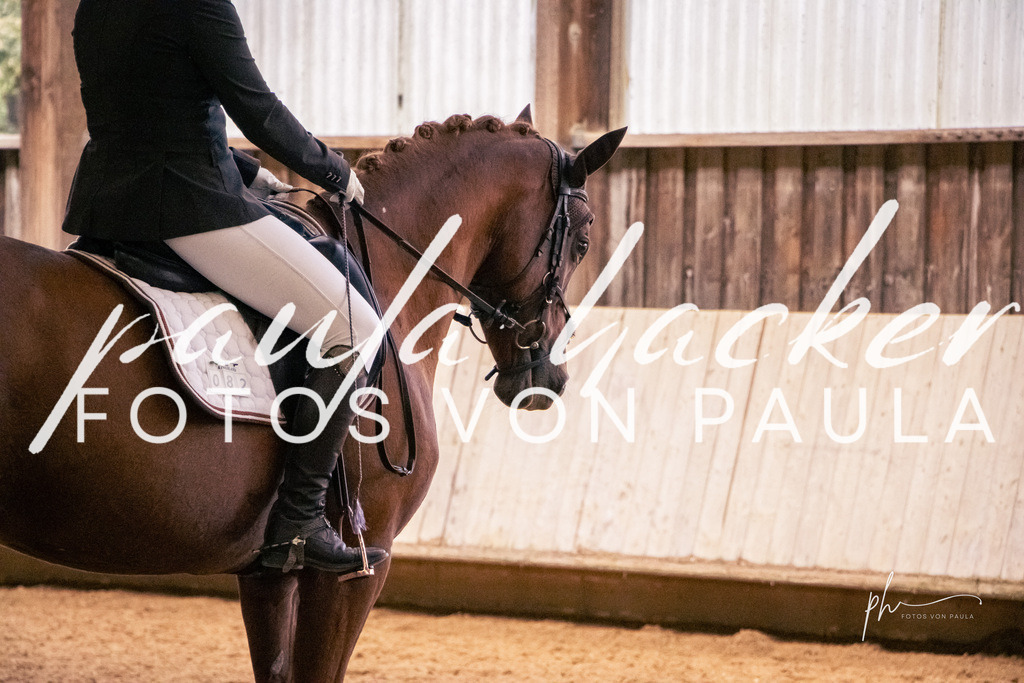 IMG_1775 | Erleben Sie dynamische Sport- und emotionale Tierfotografie in Süddeutschland mit Fotos von Paula. Spezialisiert auf Pferde- und Hundefotografie sowie Sportevents. Kontaktieren Sie mich für einzigartige und ausdrucksstarke Bilder Ihrer besonderen Momente. - Realisiert mit Pictrs.com