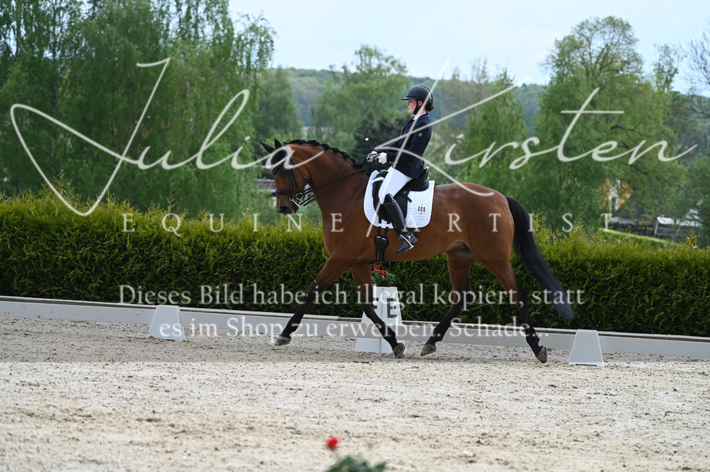 20230512_JK-Röhrsdorf-05-060 | Pferde- und Turnierfotografie in Westsachsen. Pferdeportraits, Auftragszeichnungen und intuitive Kunst.