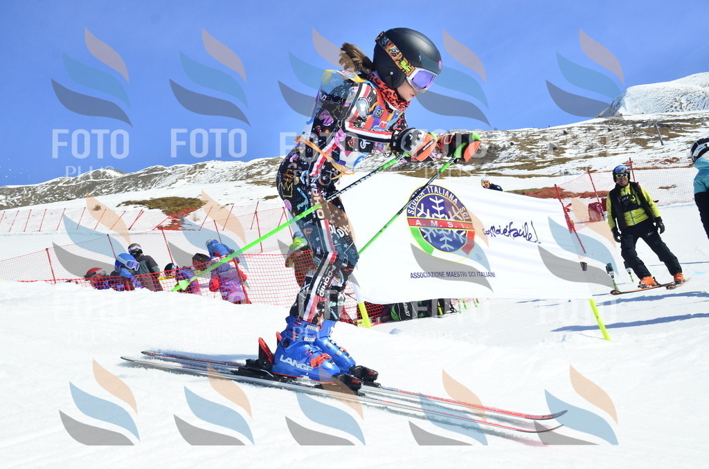 _ELE0266 | holidayphoto