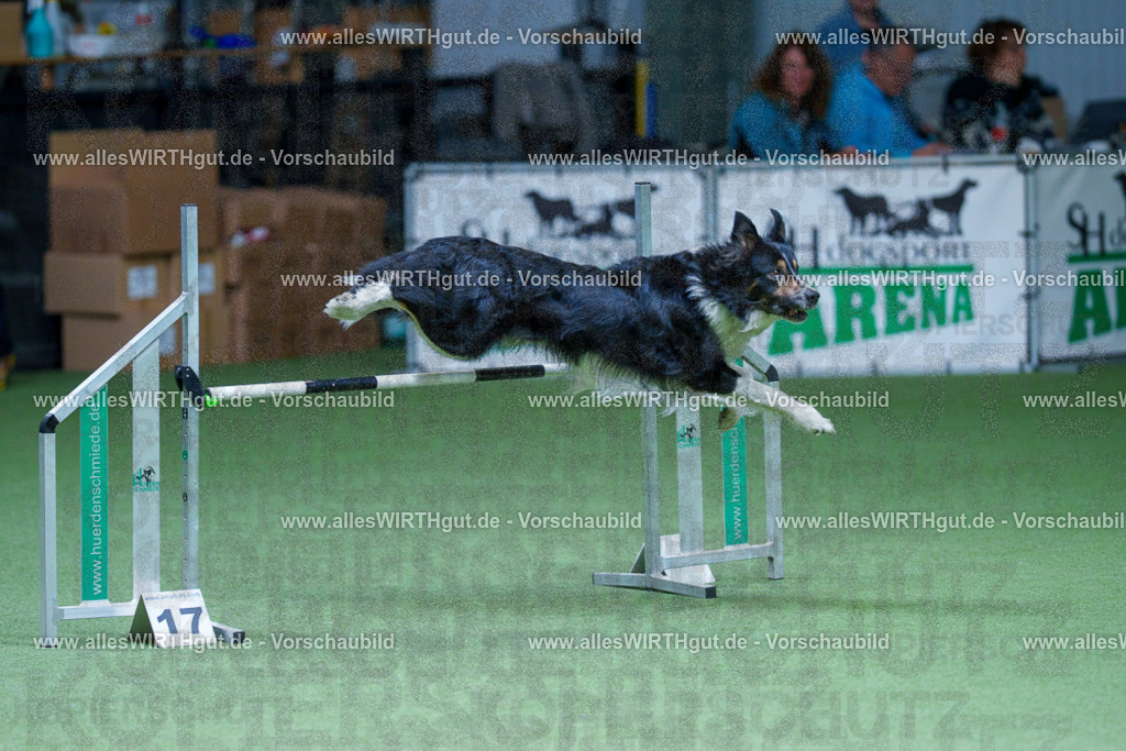 @allesWIRTHgut_Tierfotografie - www.allesWIRTHgut.de - 2604251205-7R500824 | Professionelle Tierfotografie in Mönchengladbach von Daniel Wirth (allesWIRTHgut). Liebevolle & natürliche Bilder von Hunden & Katzen für unvergessliche Erinnerungen.