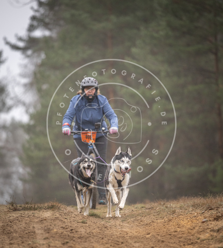 Pfotenfotografie_DV3A1201 | Hundefotografie, Tierfotograf, Pfotenfotografie, Fotoshooting Hund, Hunde Portrait, Hundesport, Hundeportraits, Heideshooting, Hunde, Sportfotograf, Hundefotograf, Turnierhundsport, THS,  - Realisiert mit Pictrs.com