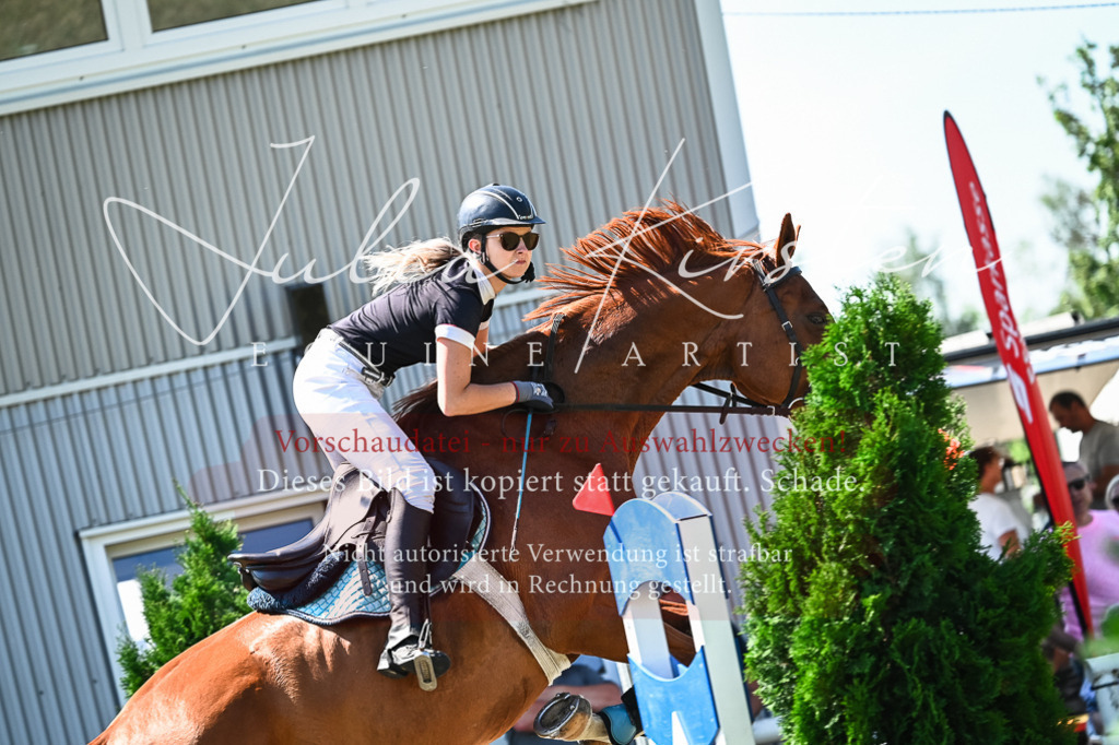 DSC_1245 | Pferde- und Turnierfotografie in Westsachsen. Pferdeportraits, Auftragszeichnungen und intuitive Kunst.