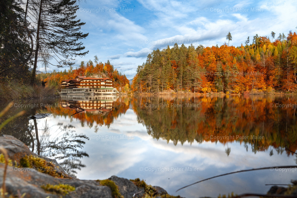 TristacherSee_Herbst_2023-40 | piet_flosse