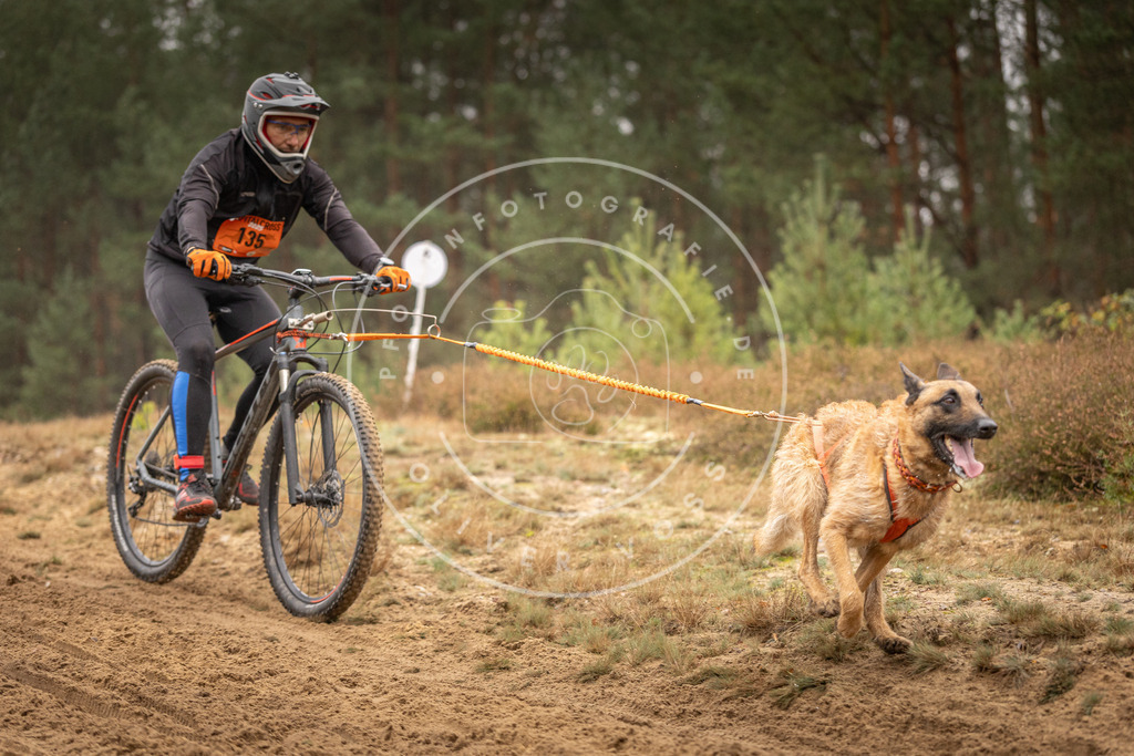 Pfotenfotografie_DV3A3820 | Hundefotografie, Tierfotograf, Pfotenfotografie, Fotoshooting Hund, Hunde Portrait, Hundesport, Hundeportraits, Heideshooting, Hunde, Sportfotograf, Hundefotograf, Turnierhundsport, THS,  - Realisiert mit Pictrs.com