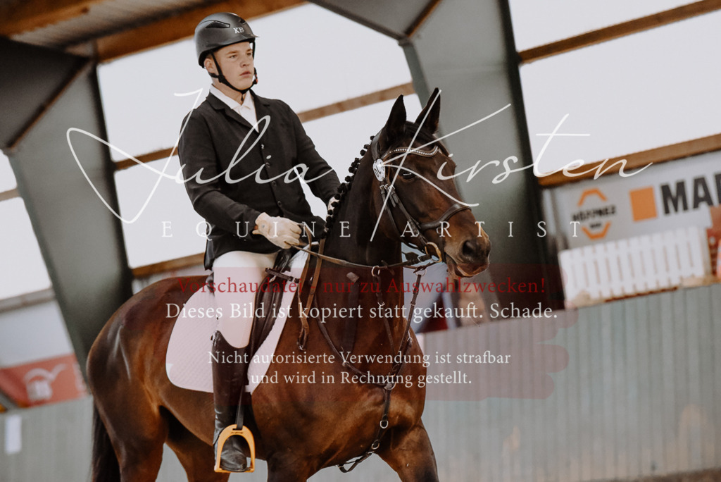 DSC_7432 | Pferde- und Turnierfotografie in Westsachsen. Pferdeportraits, Auftragszeichnungen und intuitive Kunst.