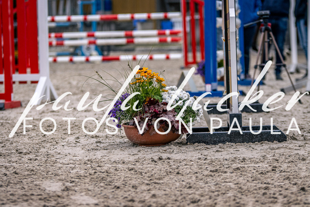 IMG_6204 | Erleben Sie dynamische Sport- und emotionale Tierfotografie in Süddeutschland mit Fotos von Paula. Spezialisiert auf Pferde- und Hundefotografie sowie Sportevents. Kontaktieren Sie mich für einzigartige und ausdrucksstarke Bilder Ihrer besonderen Momente. - Realisiert mit Pictrs.com