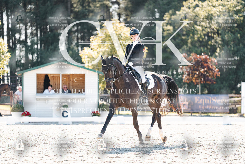 CK905815 | Turnierfotografie Pferdefotografie Trier Rheinland-Pfalz Pferdesport Reitsport Tierfotografie Sportfotografie Pferdevideo Pferdevideografie Equestrianvideography equestrianphotography  - Realisiert mit Pictrs.com