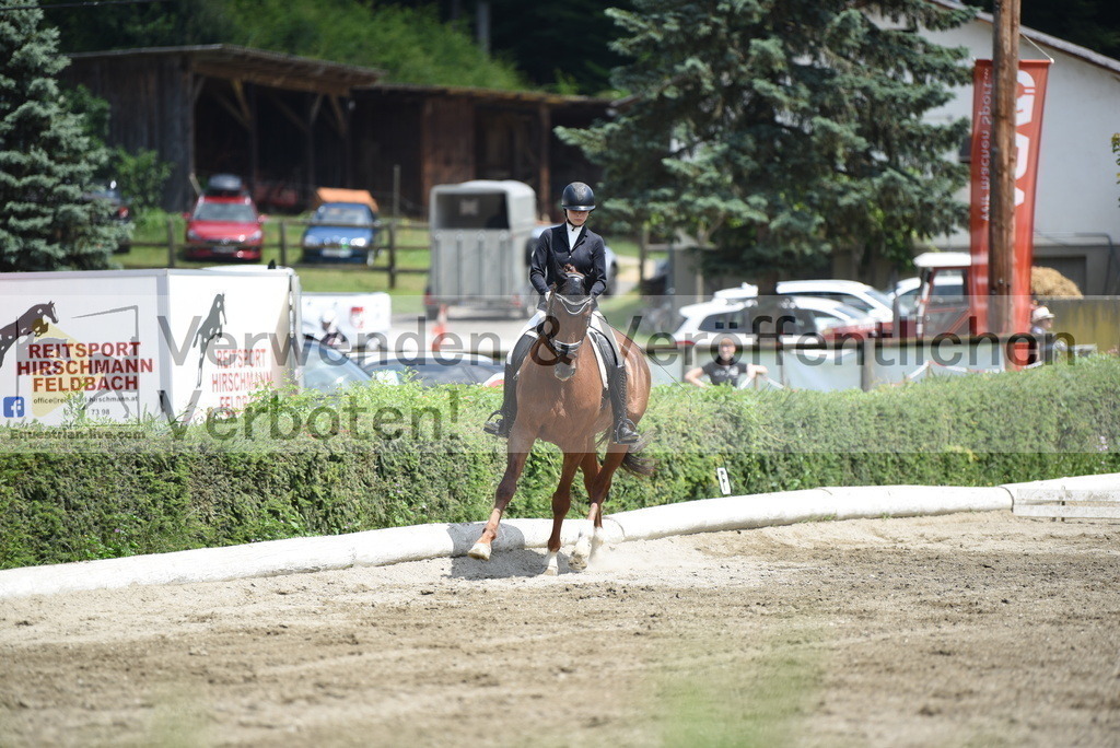 DSC_9482 | equestrian-live-com
