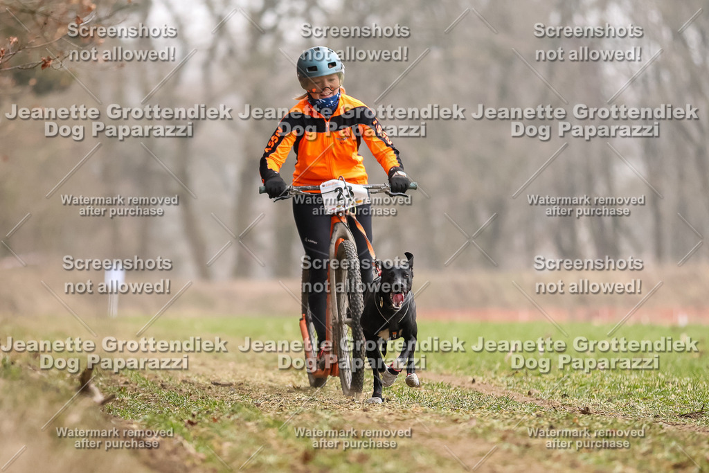 Dog Paparazzi - Plate 2026-78 | Dog Paparazzi Jeanette Grottendiek Fotografie & Videografie - Realisiert mit Pictrs.com