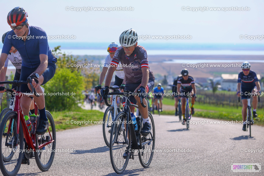 TRA_0954 | Neusiedlersee Radmarathon 2026@sportshot_your_pictrs #yourpictures#roadtowm2029 #nrm #neusiedlerseeradmarathon #neusiedlersee #neusiedlerseetourismus #burgenland #mörbisch #nrm26 #burgenlandtourismus #voglundco #poweredbyburgenlandtourismus #radsport #rad #marathon #ucigranfondo #visitburgenland #ucigranfondoworldseries