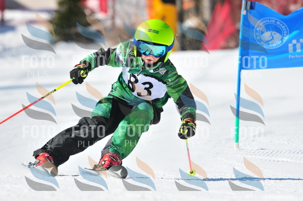 C3120 | holidayphoto