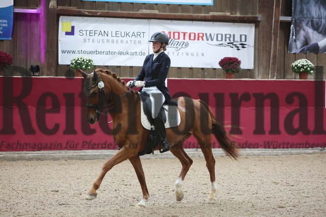 Reutlingen_2025_Prfg.Nr.02_Intermediaire II_Kira Schwegler_Eigenwijs (2) | Alle Fotos der Reiterjournal Fotografin Doris Matthaes im Reiterjournal Online-Fotoshop. - Realisiert mit Pictrs.com