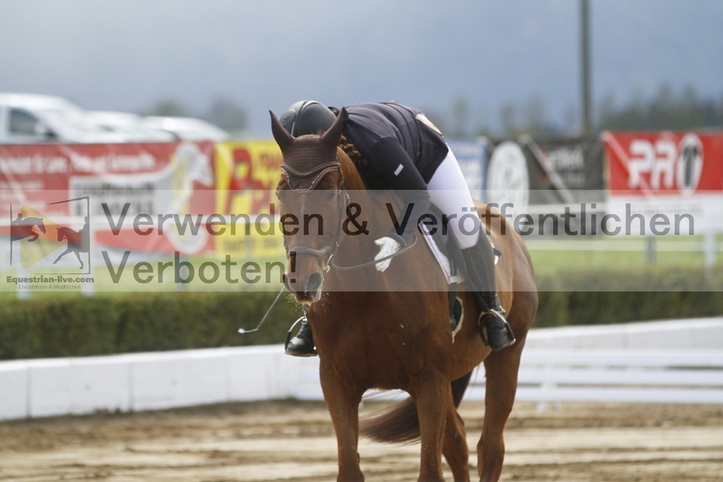 _MG_3363 | equestrian-live-com