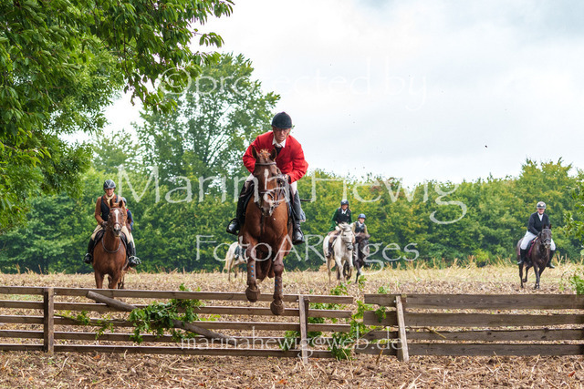 Jagd Kletkamp 26-03068_MarinaHewig | Fotografie, FotoArt, PferdesportArt, Pferdesportfotografie, Landschaftsfotografie, Reisefotografie, Reise, Pferde - Realisiert mit Pictrs.com