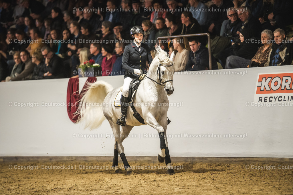 20240302_Hengstvorstellung_Marbach_TOMsPiC_1035 | equistock