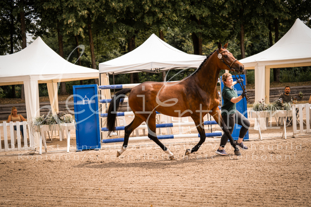 4.Fr00101 | Leoni Ertmer Photography - Realisiert mit Pictrs.com