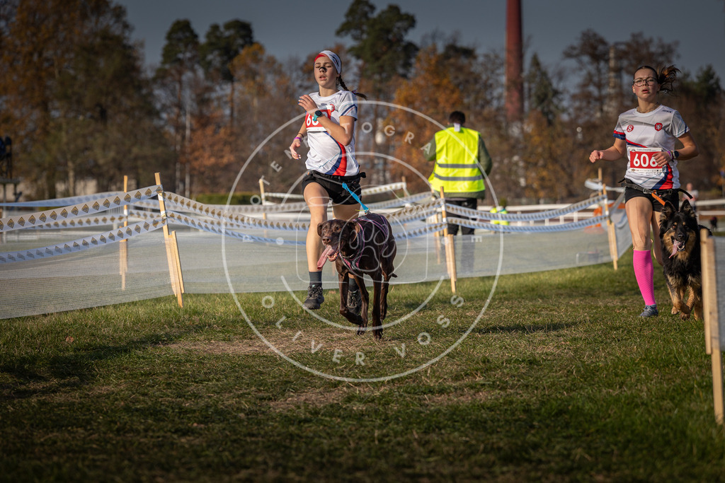 CaniXpix_0L8A9995 | Hundefotografie, Tierfotograf, Pfotenfotografie, Fotoshooting Hund, Hunde Portrait, Hundesport, Hundeportraits, Heideshooting, Hunde, Sportfotograf, Hundefotograf, Turnierhundsport, THS,  - Realisiert mit Pictrs.com