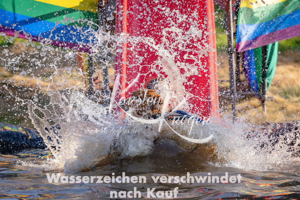 1751_ZZ92604 | kk-dogfotos
