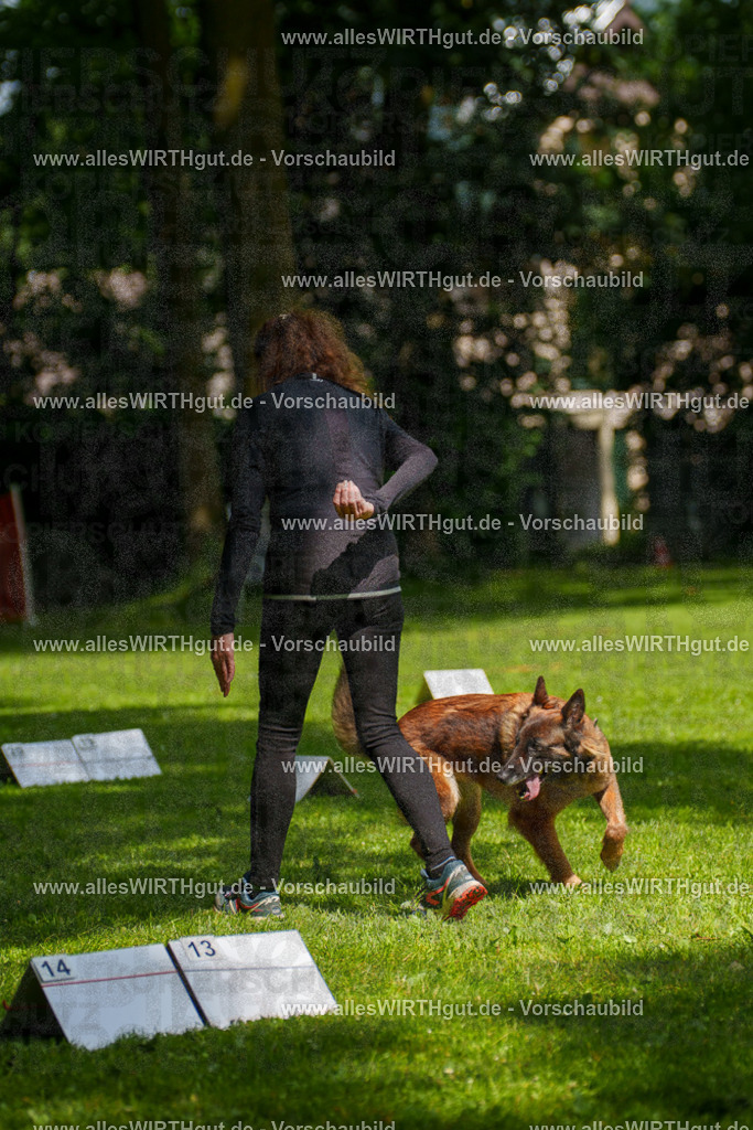 @allesWIRTHgut_Tierfotografie - www.allesWIRTHgut.de - 7R503733 | Professionelle Tierfotografie in Mönchengladbach von Daniel Wirth (allesWIRTHgut). Liebevolle & natürliche Bilder von Hunden & Katzen für unvergessliche Erinnerungen.