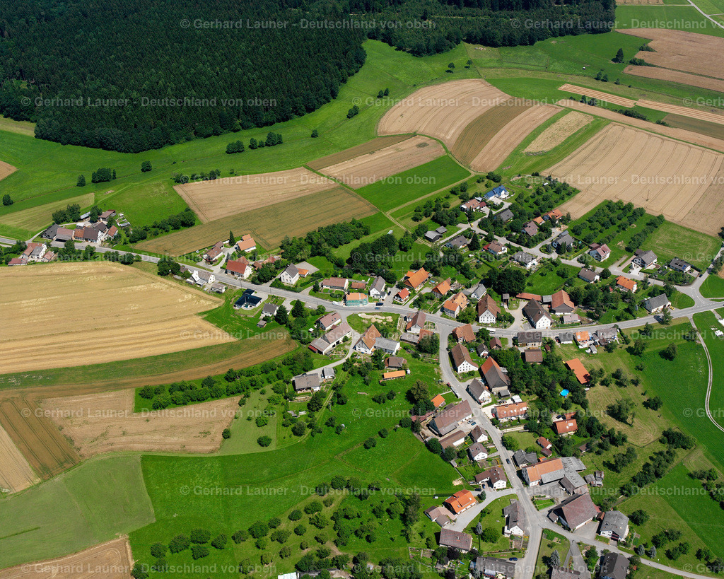 2536073 | Hippetsweiler, Wald