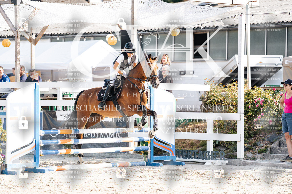 CK909650 | Turnierfotografie Pferdefotografie Trier Rheinland-Pfalz Pferdesport Reitsport Tierfotografie Sportfotografie Pferdevideo Pferdevideografie Equestrianvideography equestrianphotography  - Realisiert mit Pictrs.com