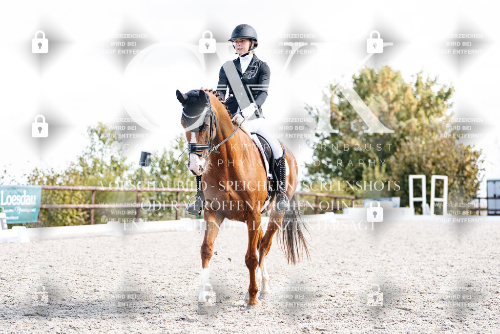 CK902182 | Turnierfotografie Pferdefotografie Trier Rheinland-Pfalz Pferdesport Reitsport Tierfotografie Sportfotografie Pferdevideo Pferdevideografie Equestrianvideography equestrianphotography  - Realisiert mit Pictrs.com