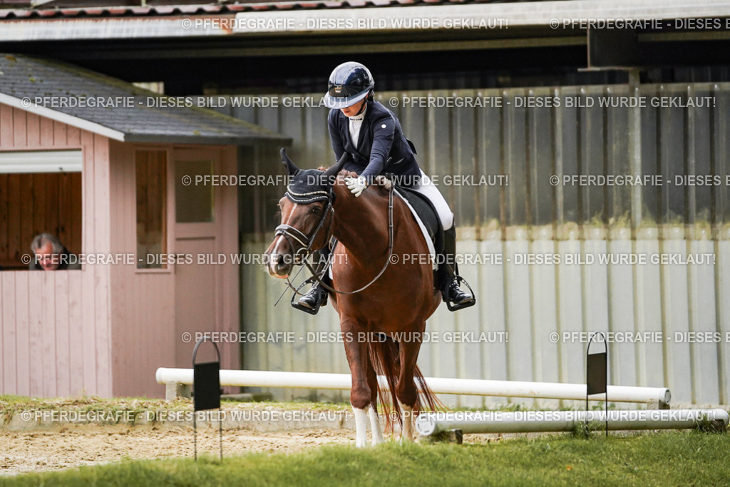 DSC06978 | Pferdegrafie