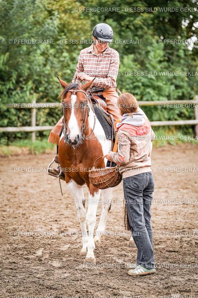 DSC04229 | Pferdegrafie