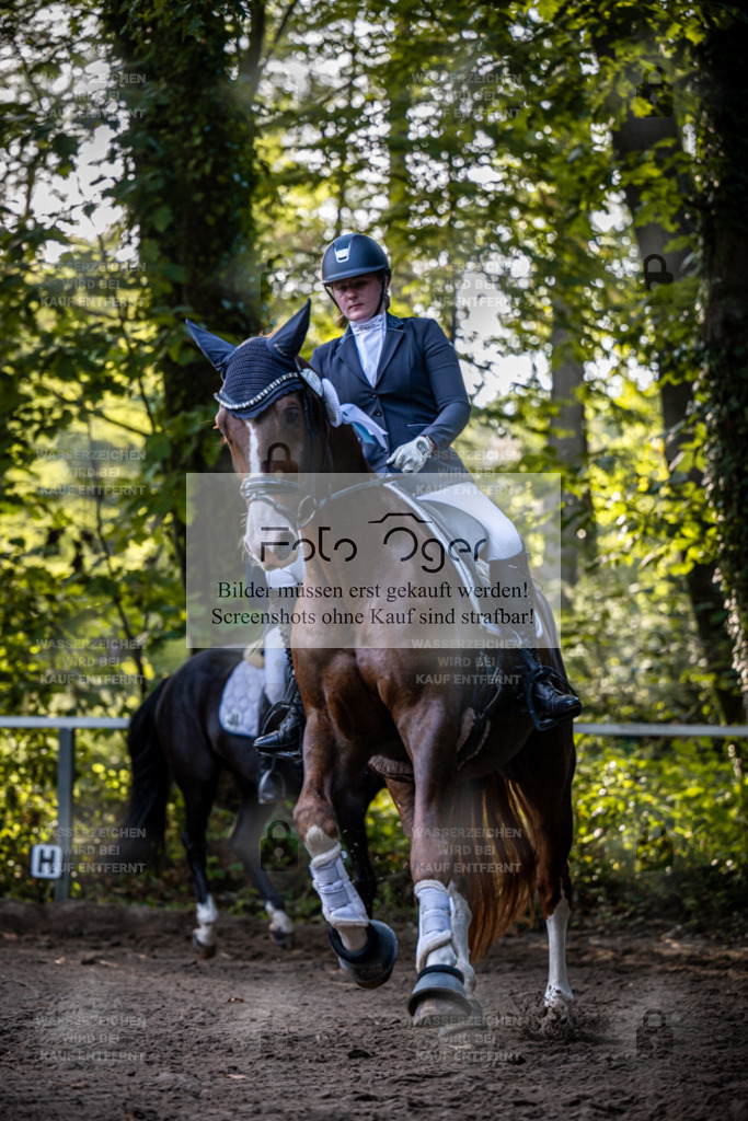 2026-10-Helle-14-0029 | Entdecke hochwertige Reitturnierfotos von Foto Oger. Professionell, emotional und authentisch – jetzt Lieblingsmomente im Shop bestellen.Deutschlandweite Turnierfotografie. - Realisiert mit Pictrs.com