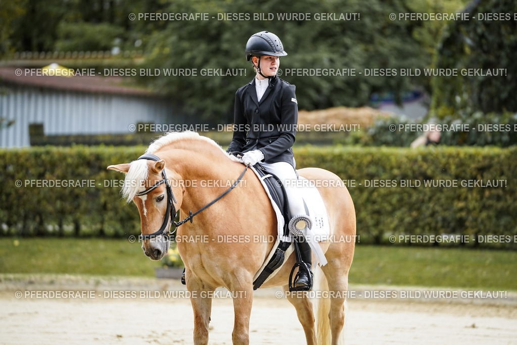 DSC05008 | Pferdegrafie