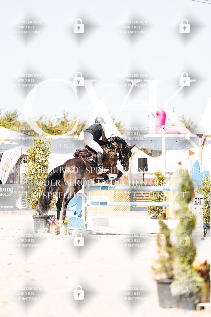 CK909540 | Turnierfotografie Pferdefotografie Trier Rheinland-Pfalz Pferdesport Reitsport Tierfotografie Sportfotografie Pferdevideo Pferdevideografie Equestrianvideography equestrianphotography  - Realisiert mit Pictrs.com