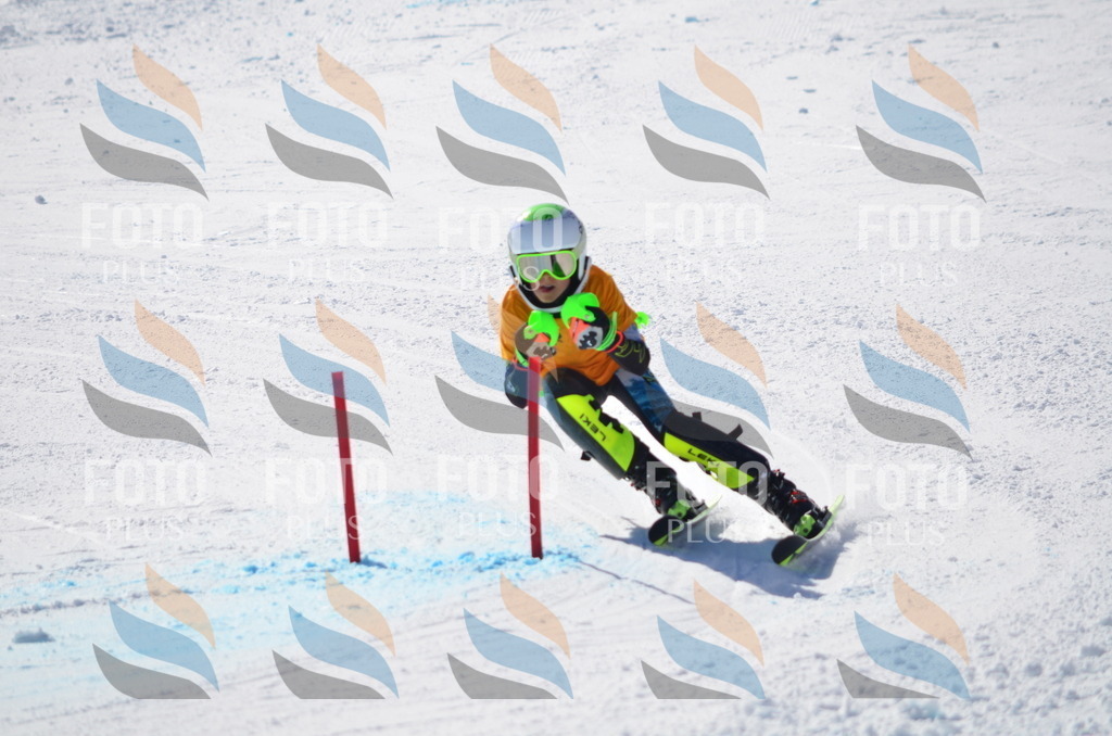 C9736 | holidayphoto