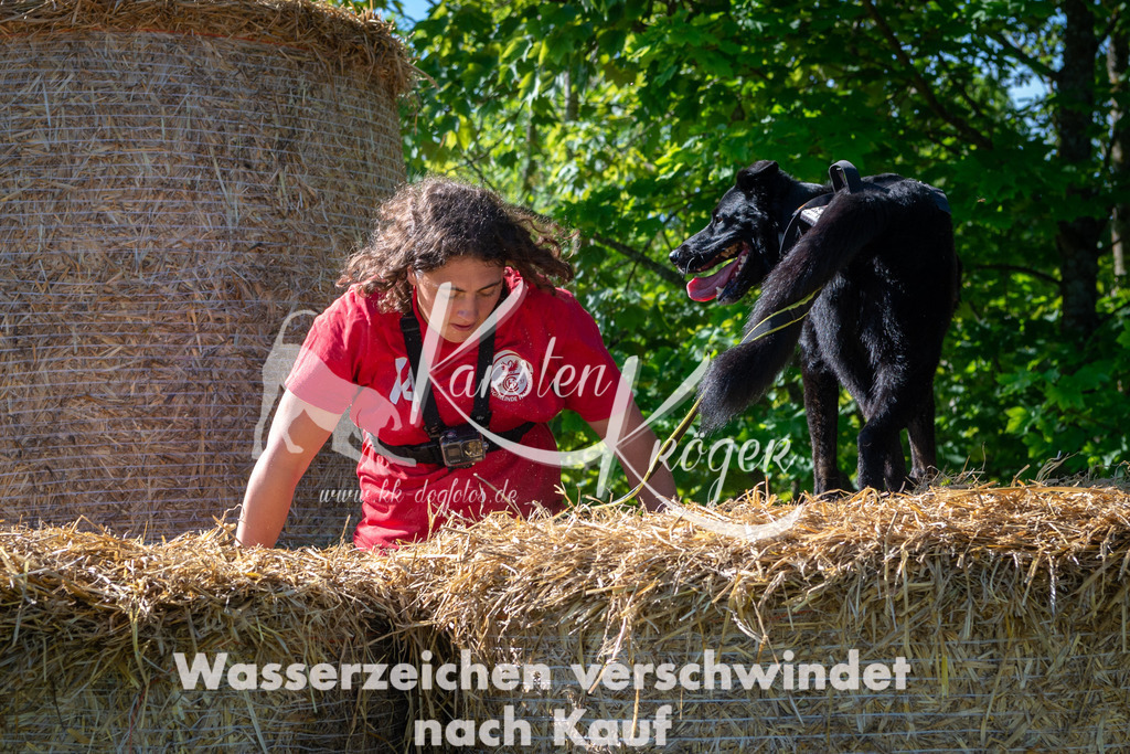0931STR_5121 | kk-dogfotos