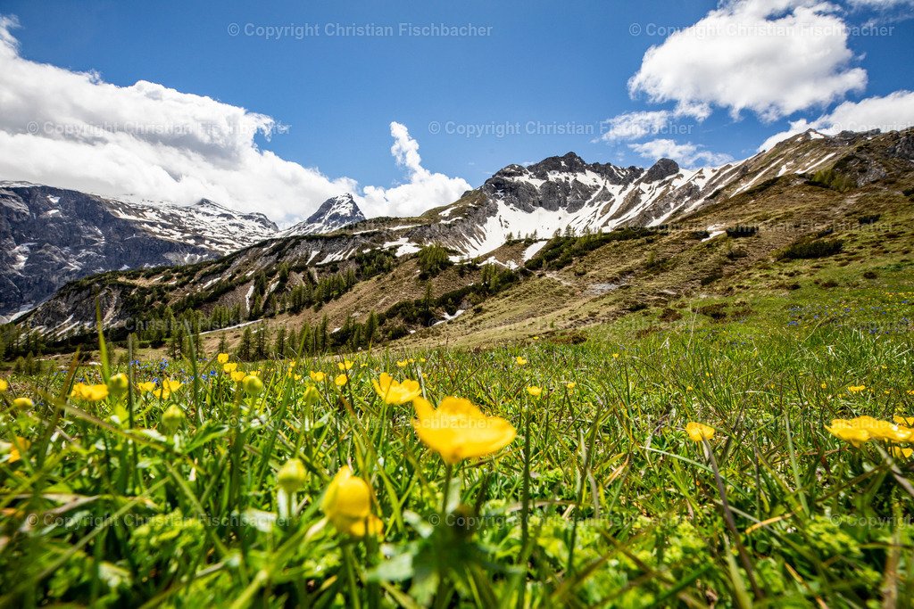 Fotos_Copyright_Chri_Fischbacher_Druck-390 | Bildershop Chri Fischbacher - Realisiert mit Pictrs.com