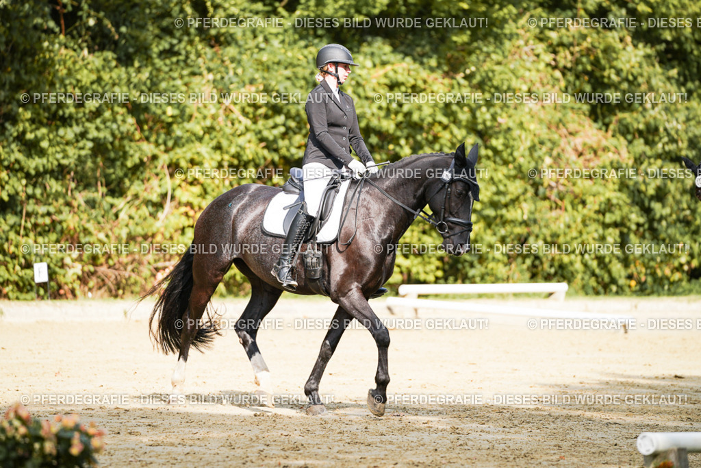 DSC02281 | Pferdegrafie