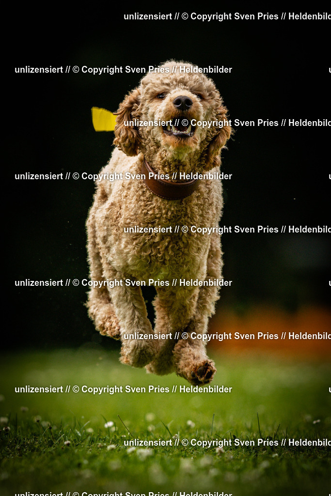 Sven Pries | 2025-05-29 - Pudelrennen KA-Durlach - Realisiert mit Pictrs.com