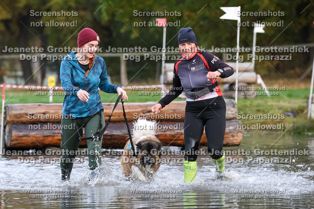 Dog Paparazzi - Strongdog 10-25-6509 | Dog Paparazzi Jeanette Grottendiek Fotografie & Videografie - Realisiert mit Pictrs.com