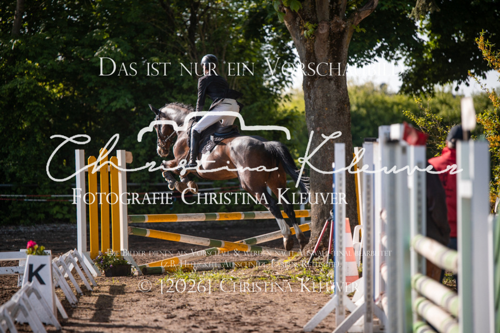 DSC_8016 | Christina-Kleuver