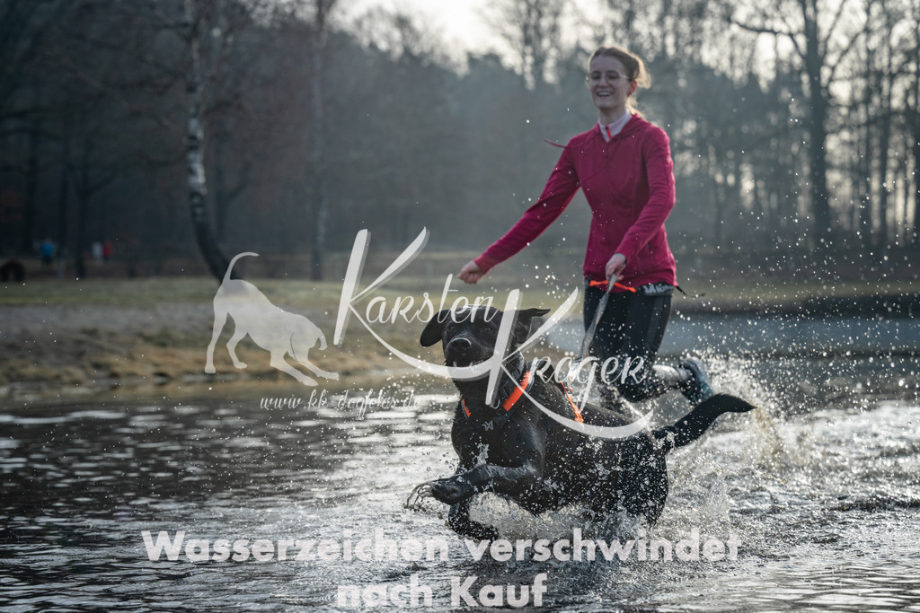 0832_ZZ97352 | kk-dogfotos