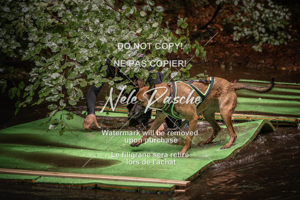 nelerasche_Wingst_Sa1330-1400_79 | nelerasche