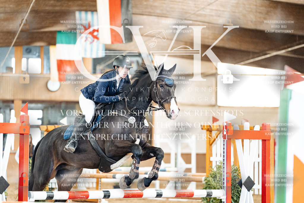 CK905101 | Turnierfotografie Pferdefotografie Trier Rheinland-Pfalz Pferdesport Reitsport Tierfotografie Sportfotografie Pferdevideo Pferdevideografie Equestrianvideography equestrianphotography  - Realisiert mit Pictrs.com