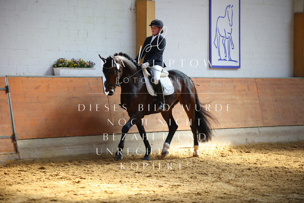 IMGT6889 | pl-fotografie