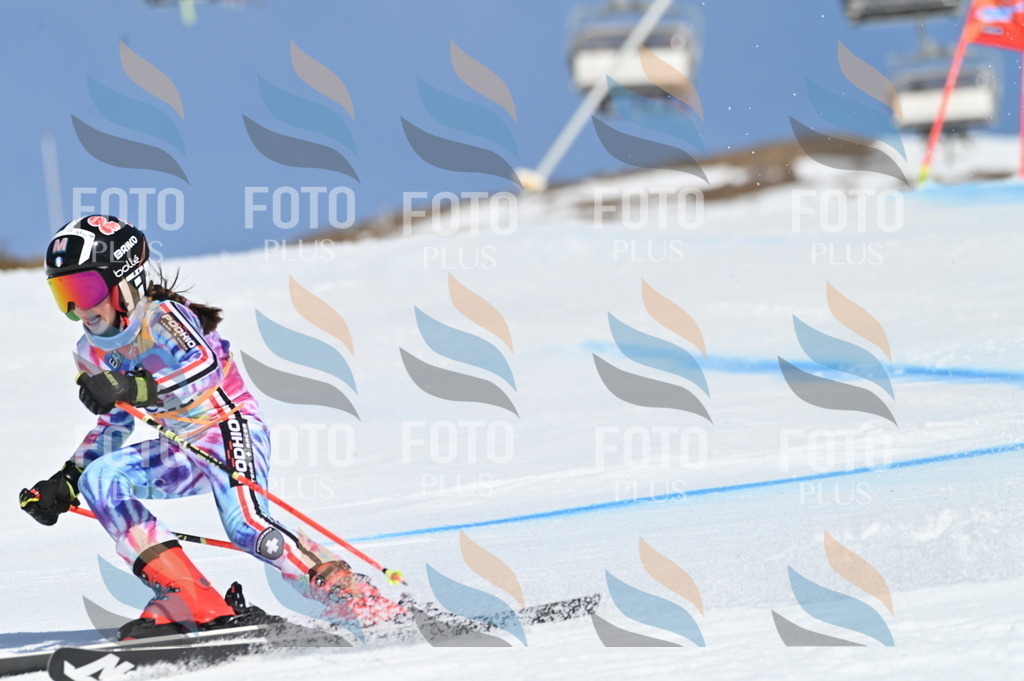 BGV_9363 | holidayphoto