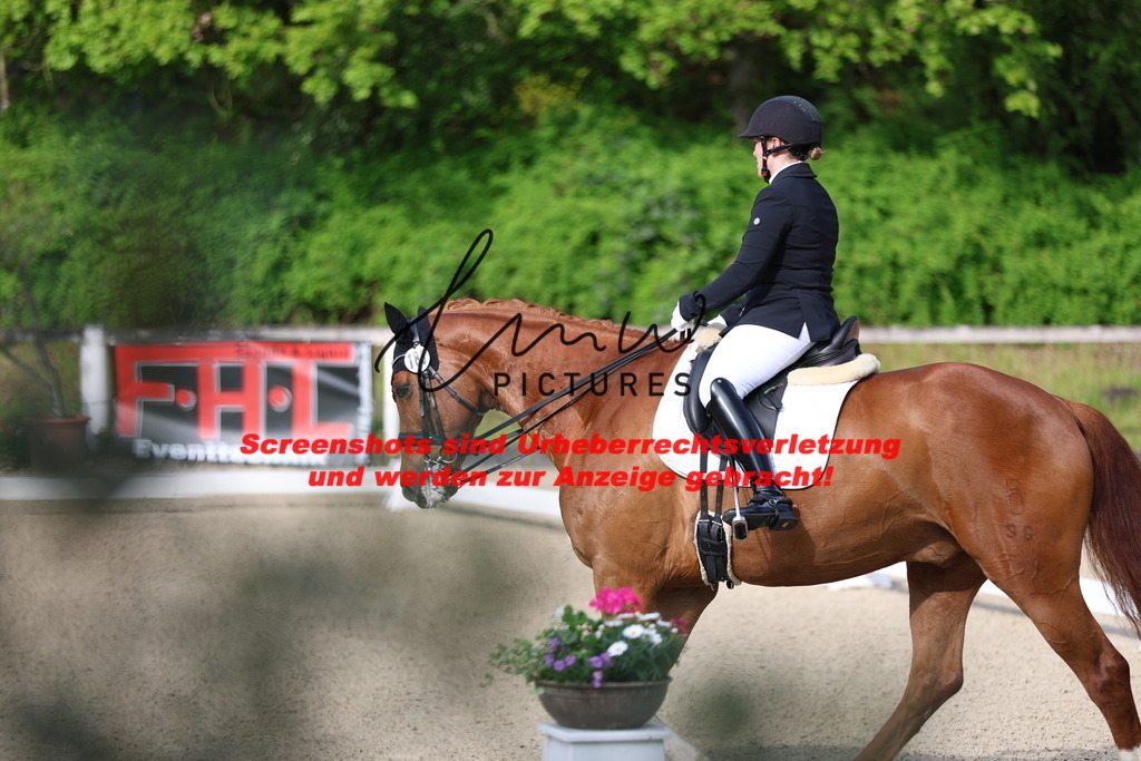 A40A3364 | lmwpictures - Realisiert mit Pictrs.com