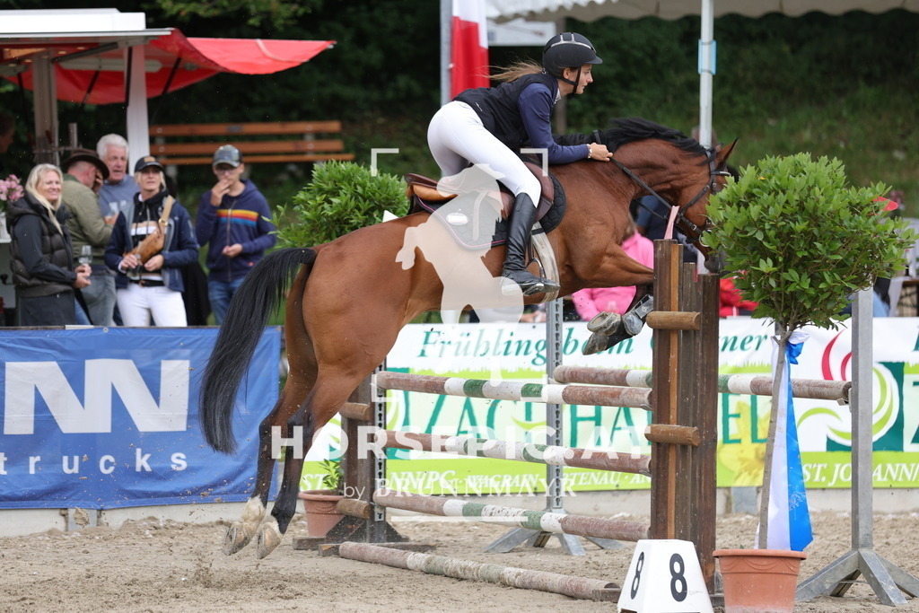 0P6A2623 | Willkommen bei Brunnmayr - Design & Fotografie – Ihrem Spezialisten für Reitturniere und Pferdeveranstaltungen in Oberösterreich, Salzburg und Bayern! Seit über 17 Jahren sind wir leidenschaftlich dabei.