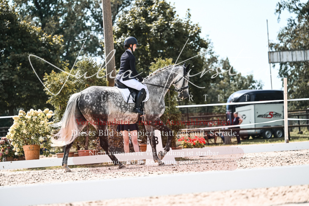 DSC_5597 | Pferde- und Turnierfotografie in Westsachsen. Pferdeportraits, Auftragszeichnungen und intuitive Kunst.