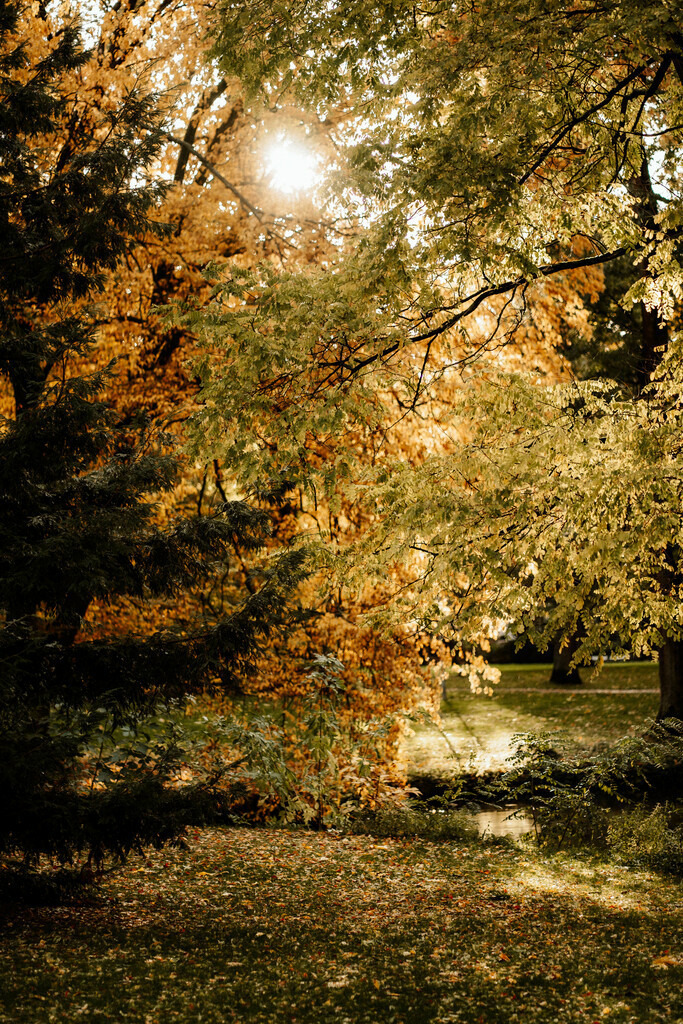 Dänemark im Herbst | Print Shop 
Fotografie
Posterdruck
Landschaftsfotografie
Reisefotografie
Naturfotografie
Anja Brandes Poster 
Anja Brandes Photography 
Prints for Walls 
Printable 
Posterdrucke
Poster aesthetic 
Poster Wall 
Poster Prints 
Poster schwarz weiß - Realisiert mit Pictrs.com