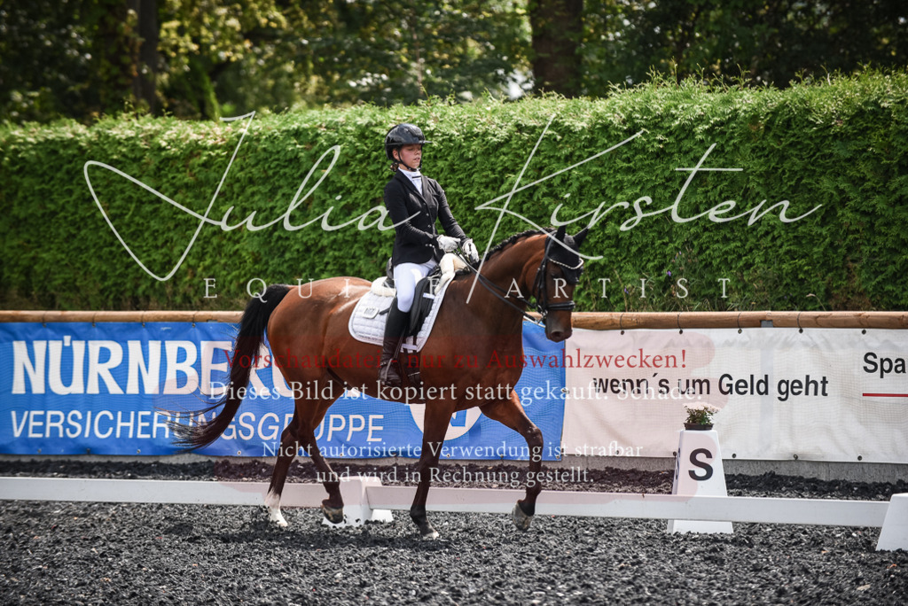 DSC_4743 | Pferde- und Turnierfotografie in Westsachsen. Pferdeportraits, Auftragszeichnungen und intuitive Kunst.